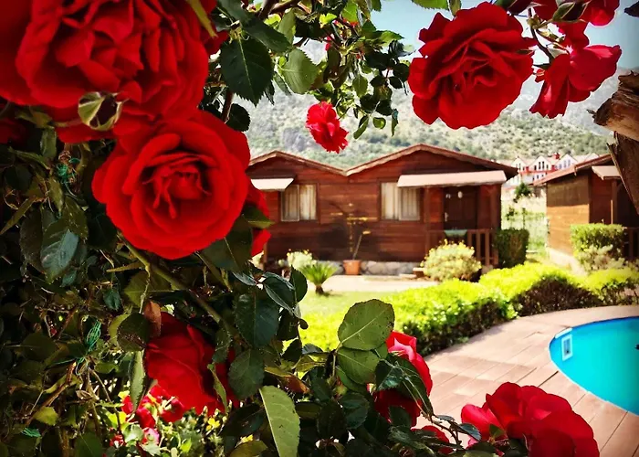 ゲストハウス Ada 3*