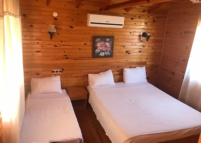 Ada ゲストハウス