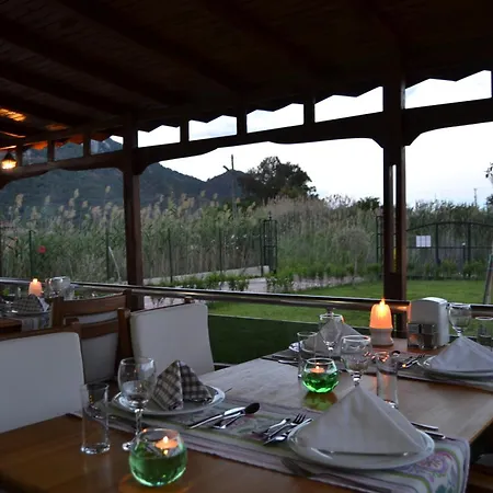Guest house Ada