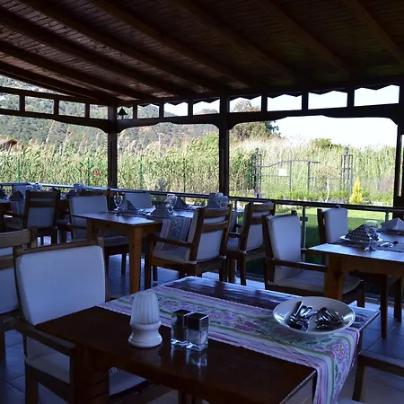 Guest house Ada 3*