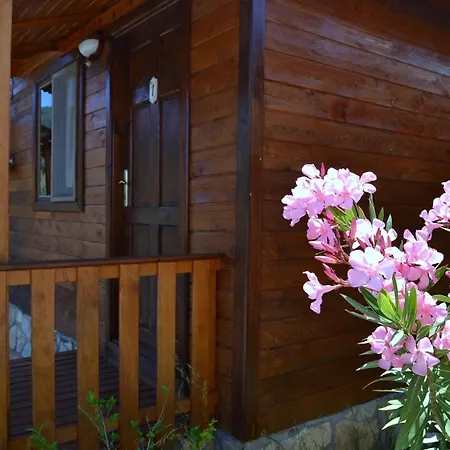 Casa de hóspedes Ada 3*