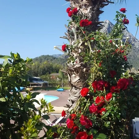 Casa de hóspedes Ada 3*