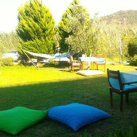 Guest house Ada